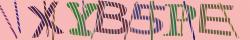 Retype the CAPTCHA code from the image