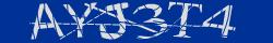 Retype the CAPTCHA code from the image