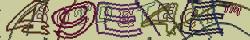 Retype the CAPTCHA code from the image