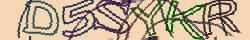 Retype the CAPTCHA code from the image