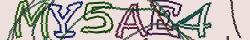Retype the CAPTCHA code from the image