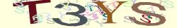 Retype the CAPTCHA code from the image