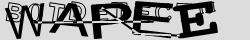 Retype the CAPTCHA code from the image
