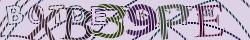 Retype the CAPTCHA code from the image