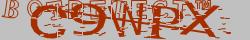 Retype the CAPTCHA code from the image