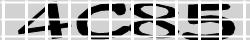 Retype the CAPTCHA code from the image