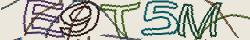 Retype the CAPTCHA code from the image
