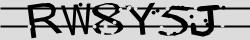 Retype the CAPTCHA code from the image