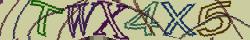 Retype the CAPTCHA code from the image