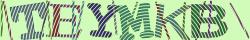 Retype the CAPTCHA code from the image