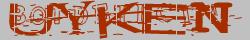 Retype the CAPTCHA code from the image