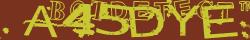 Retype the CAPTCHA code from the image