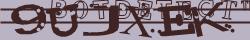 Retype the CAPTCHA code from the image