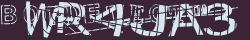 Retype the CAPTCHA code from the image