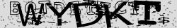 Retype the CAPTCHA code from the image