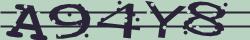 Retype the CAPTCHA code from the image