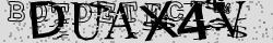 Retype the CAPTCHA code from the image