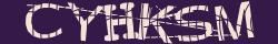 Retype the CAPTCHA code from the image