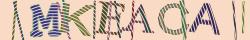 Retype the CAPTCHA code from the image