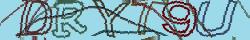 Retype the CAPTCHA code from the image