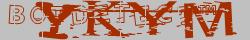 Retype the CAPTCHA code from the image