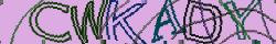 Retype the CAPTCHA code from the image
