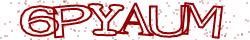 Retype the CAPTCHA code from the image
