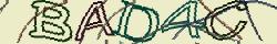 Retype the CAPTCHA code from the image