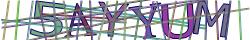 Retype the CAPTCHA code from the image