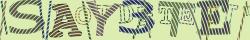 Retype the CAPTCHA code from the image