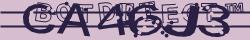 Retype the CAPTCHA code from the image
