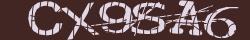 Retype the CAPTCHA code from the image