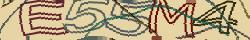 Retype the CAPTCHA code from the image