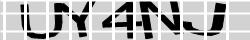 Retype the CAPTCHA code from the image
