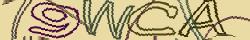 Retype the CAPTCHA code from the image