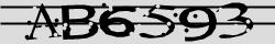 Retype the CAPTCHA code from the image
