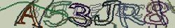 Retype the CAPTCHA code from the image