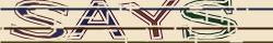 Retype the CAPTCHA code from the image