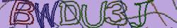 Retype the CAPTCHA code from the image