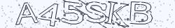 Retype the CAPTCHA code from the image