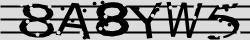 Retype the CAPTCHA code from the image