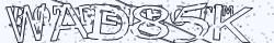 Retype the CAPTCHA code from the image