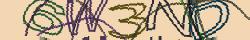 Retype the CAPTCHA code from the image