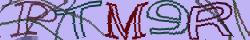 Retype the CAPTCHA code from the image